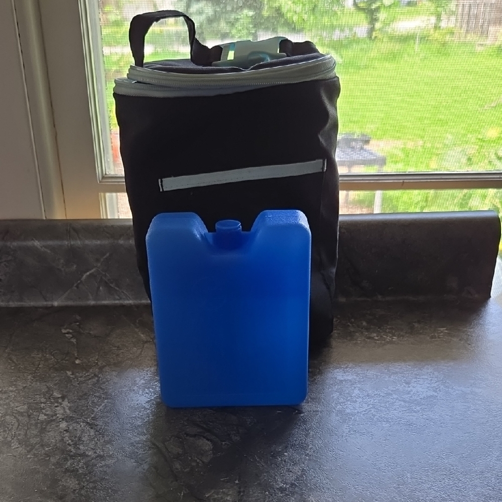 Insulated Cooler Bag